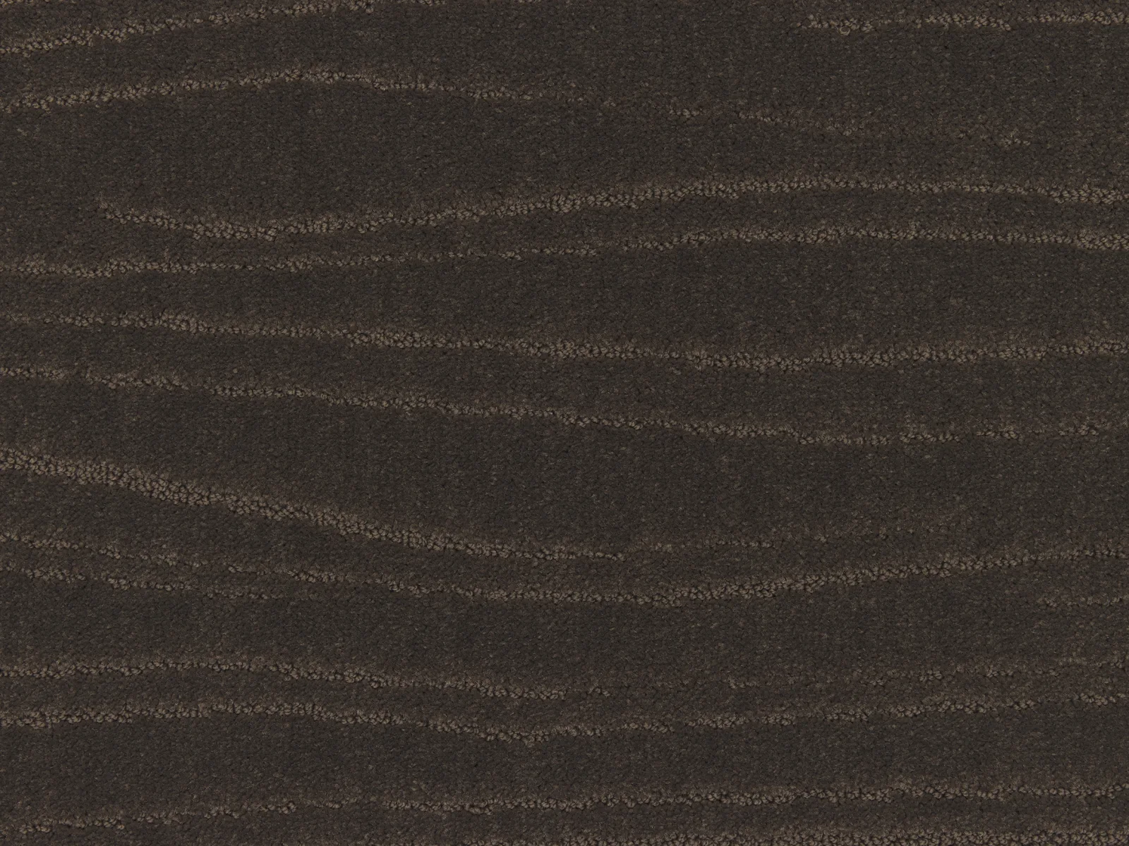 Lano Carve Linea Carpet | Durable and Stylish