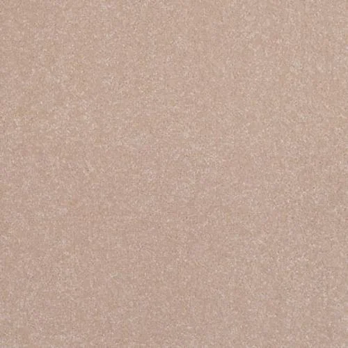 Freedom & Freedom Xtra Tissue