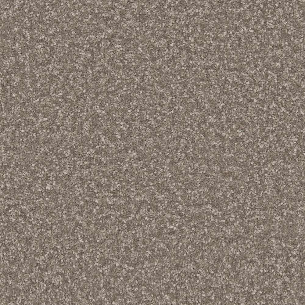 Apollo Plus Carpet by Cormar Carpets | Quality Flooring
