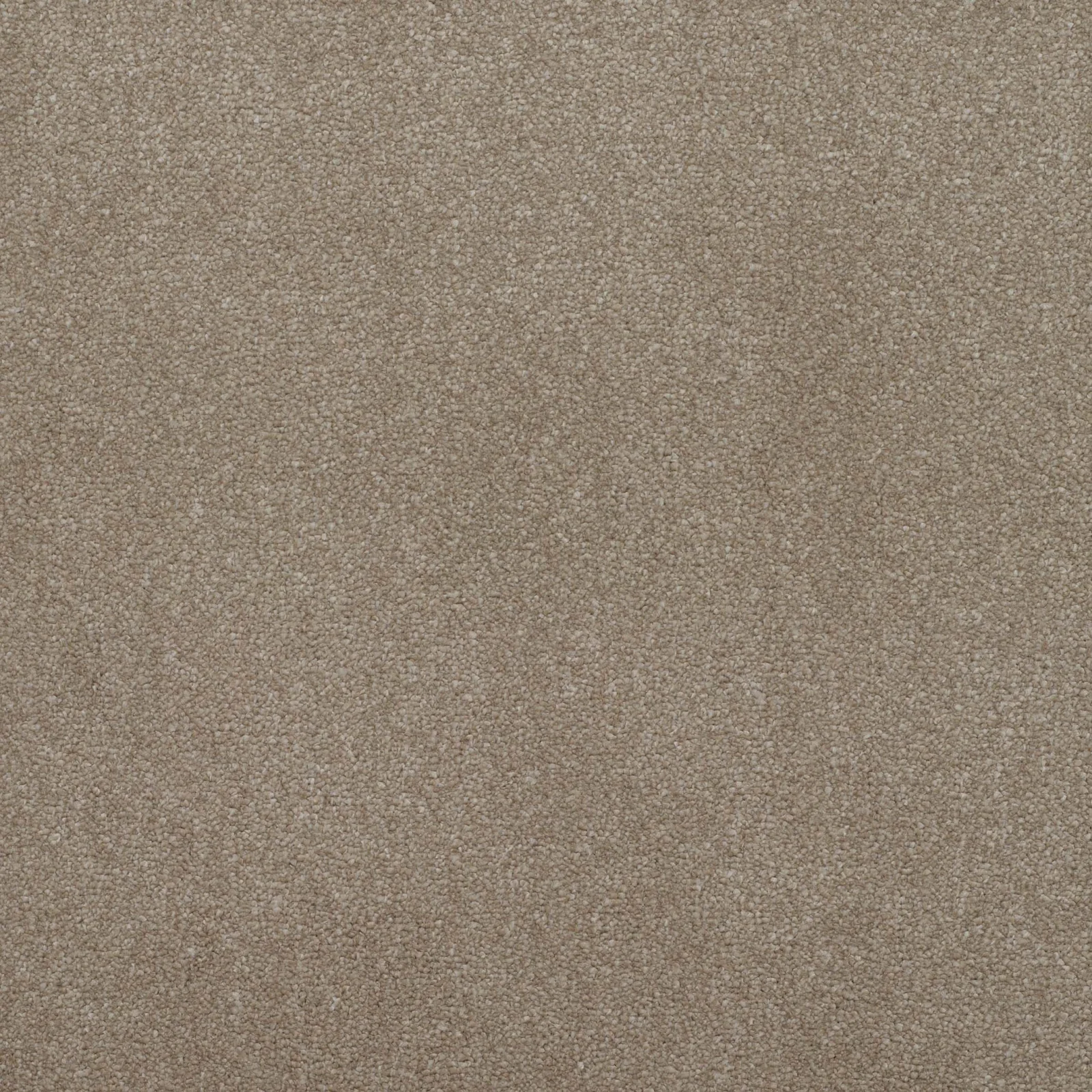 Addiction Carpet by Balta | Quality Carpets in Wednesfield