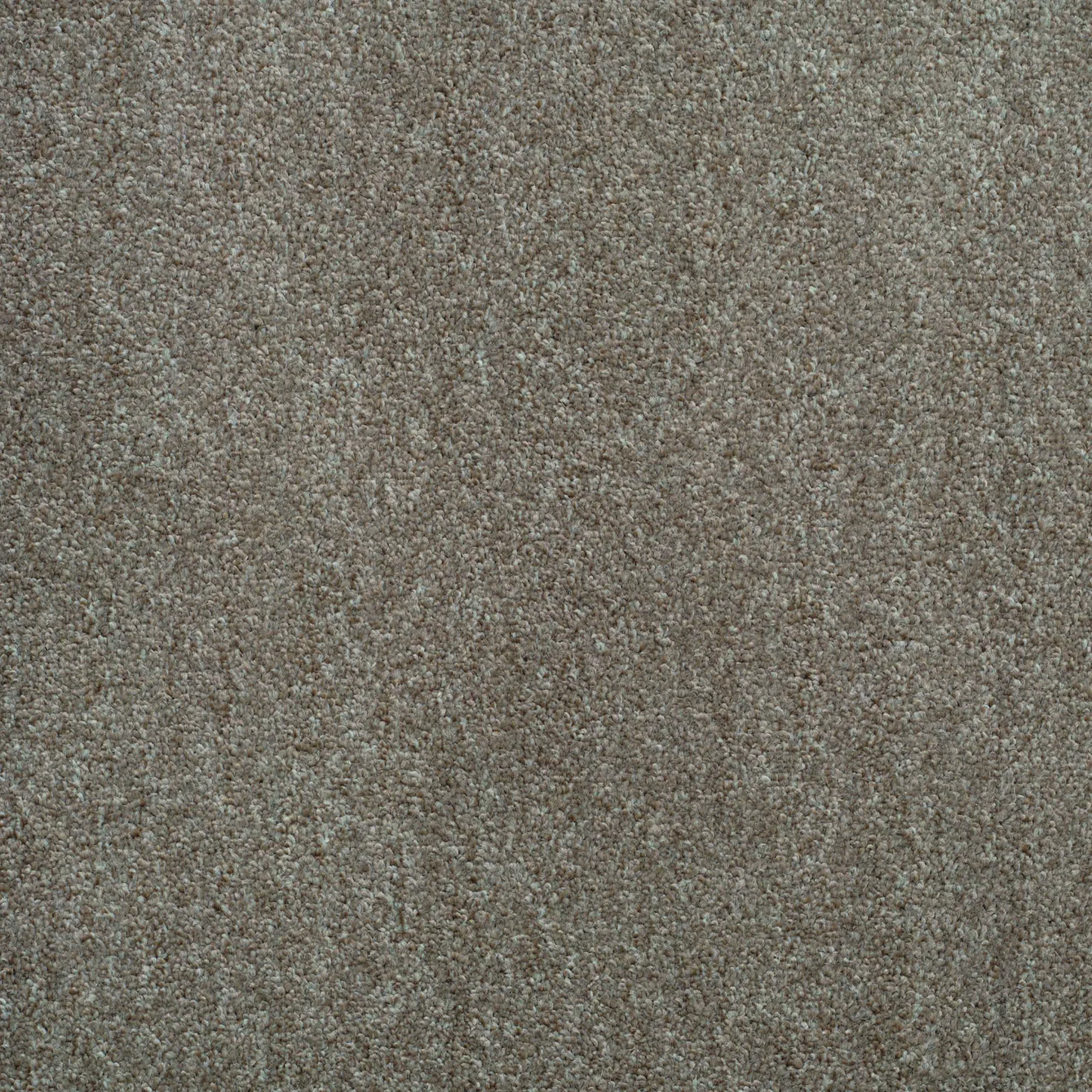 Shepherd Twist Carpet by Balta - Quality Carpets WV11
