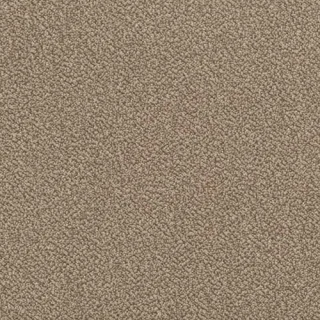hazelnut