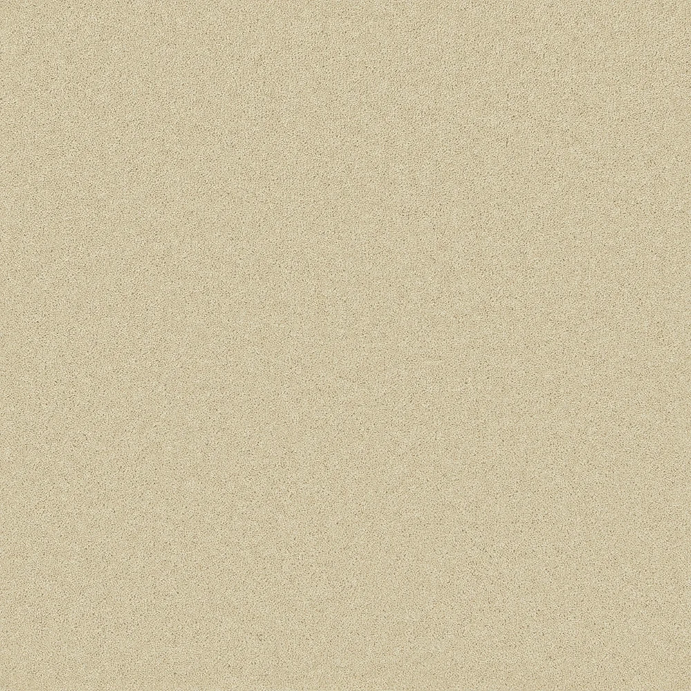 Pembroke Carpet by Cormar Carpets | Quality Flooring