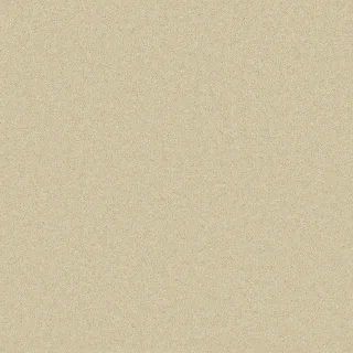 Egyptian Cotton