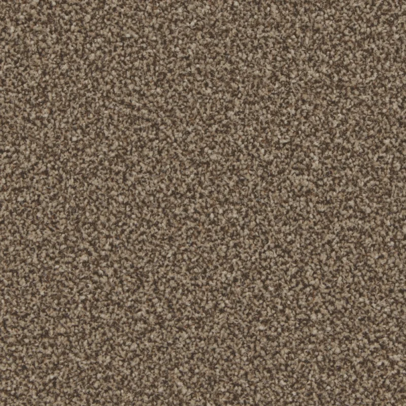 Kingston Mocha