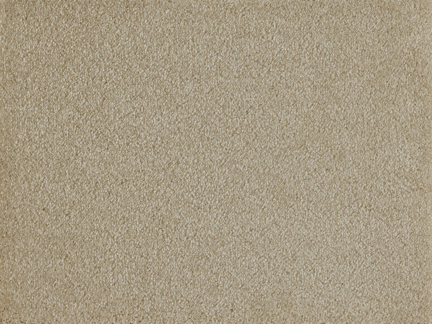 Satine Nova Carpet by Lano | Quality Carpets and Vinyl