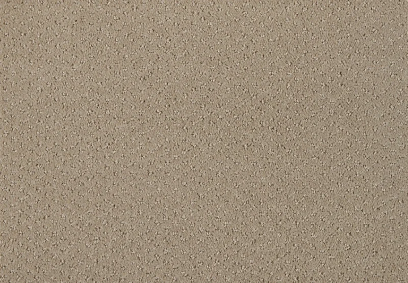Carve Classic 251MAGNOLIA