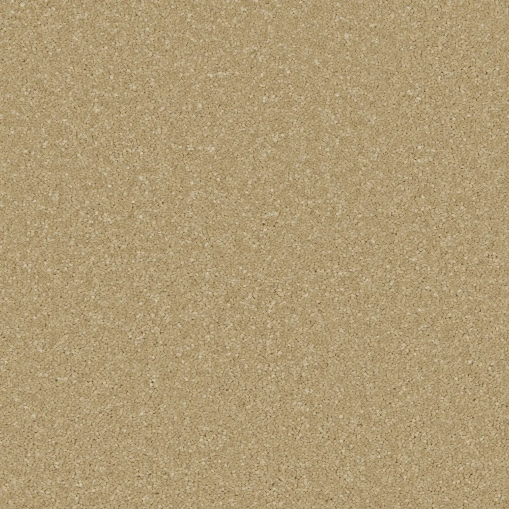 Zenith Carpet by Cormar Carpets - Quality Flooring