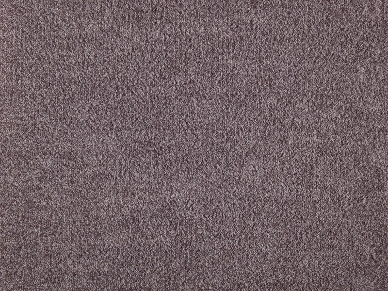 Rumba 082Purple