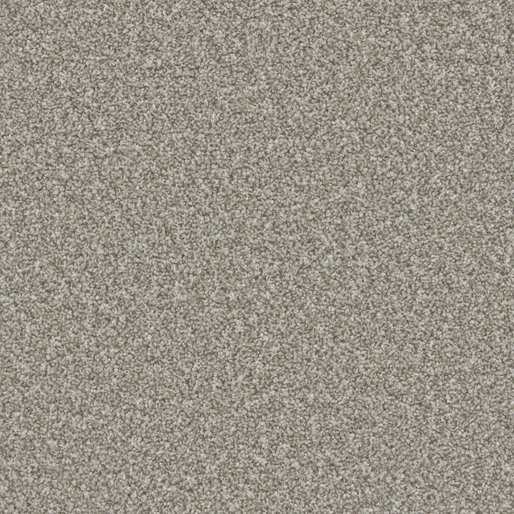 Apollo Plus Carpet by Cormar Carpets | Quality Flooring