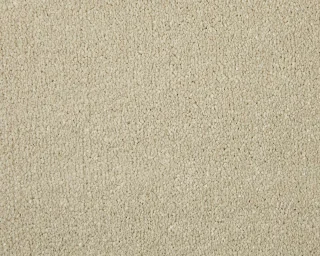 Pale Angora