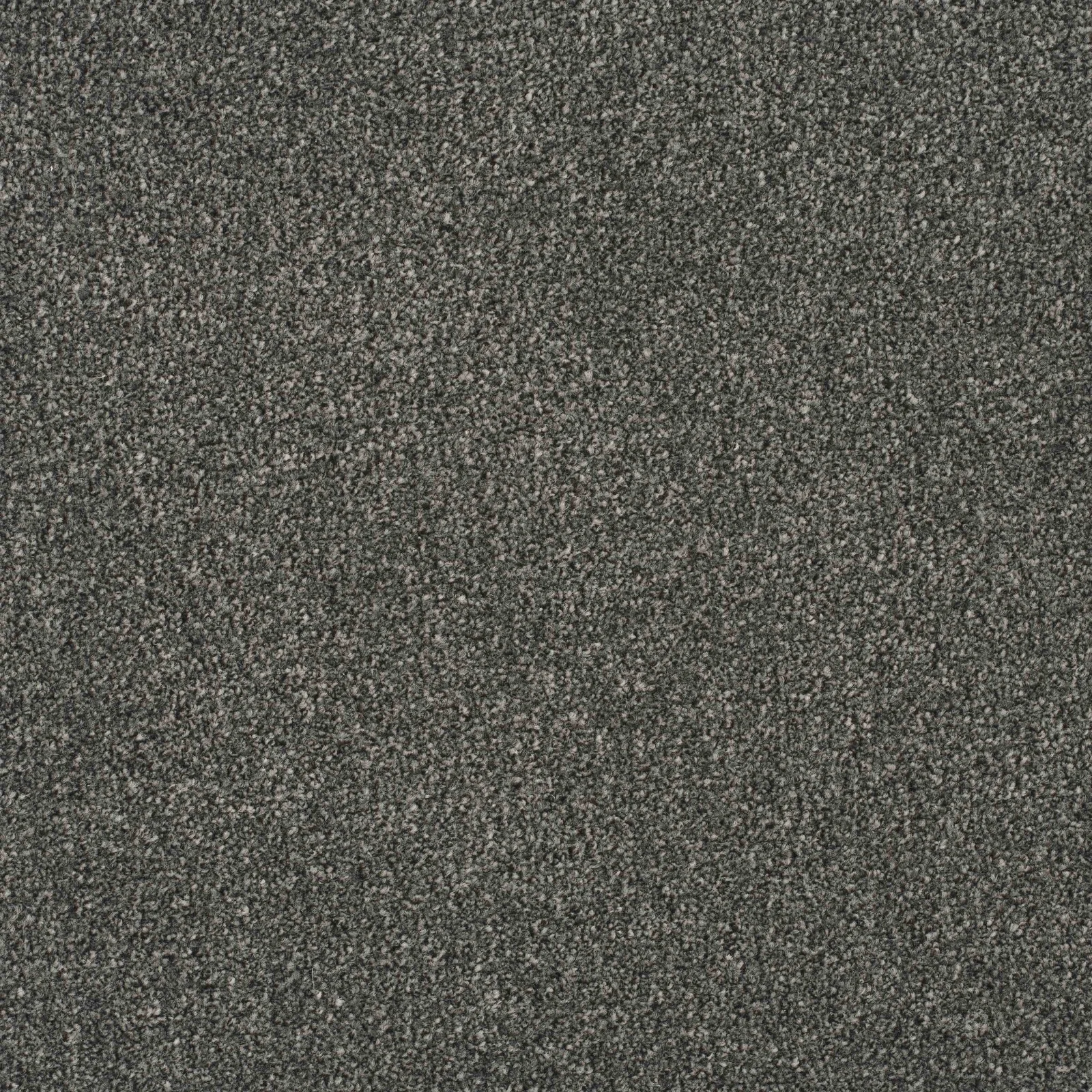 Essence Carpet by Balta | Quality Carpets in Wednesfield