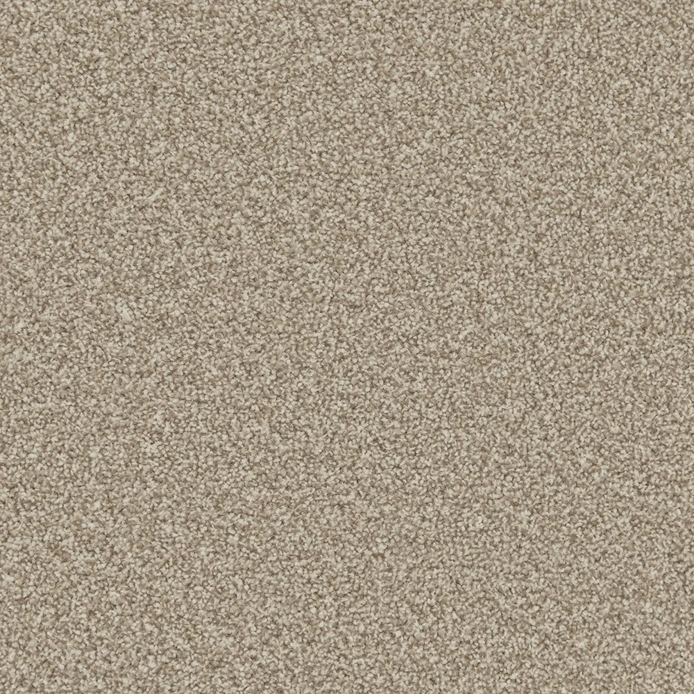 Apollo Plus Carpet by Cormar Carpets | Quality Flooring