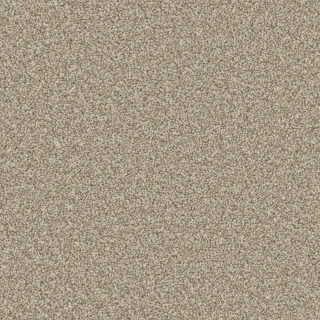 Manhattan Taupe