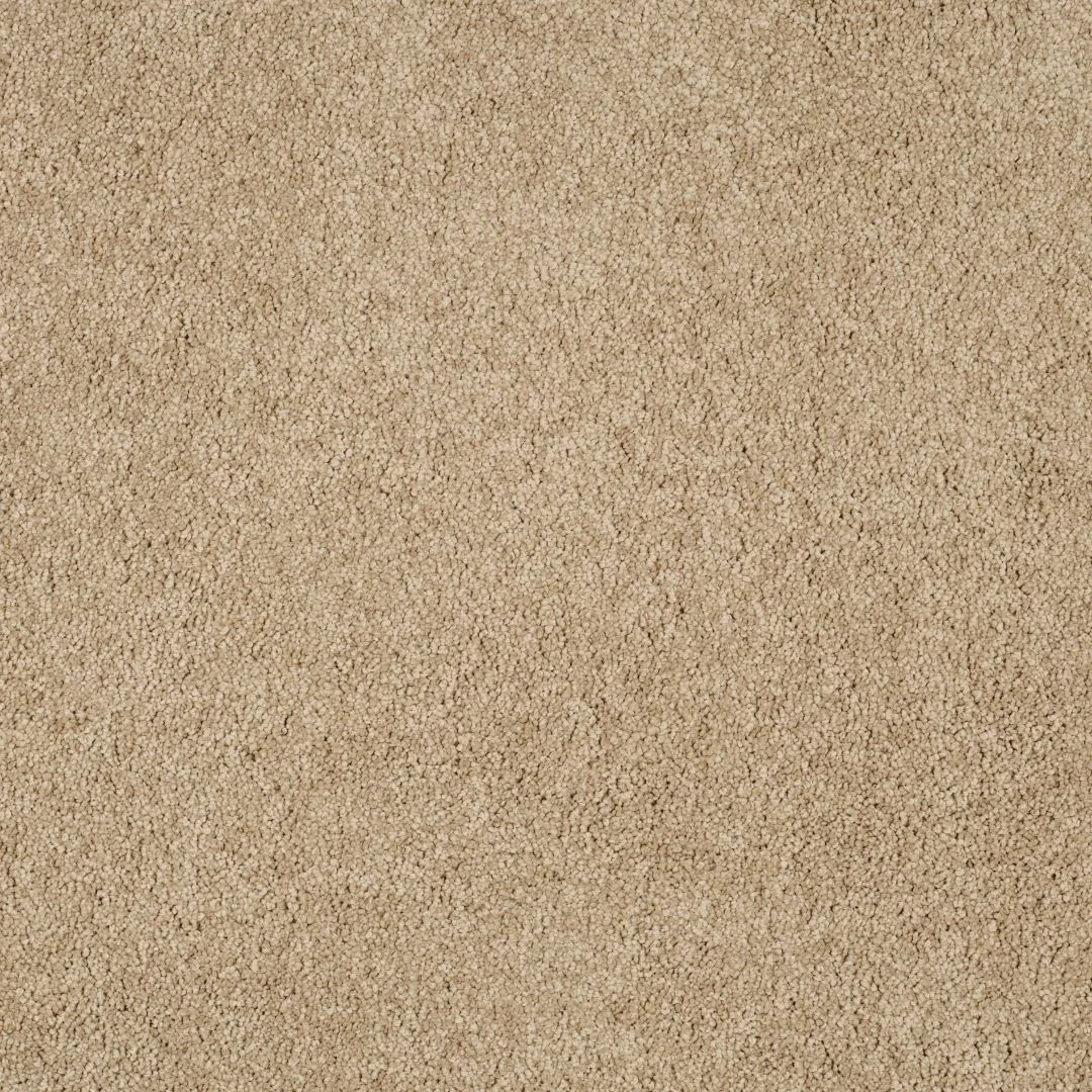 Magical Feeling Carpet by Balta – Quality Flooring