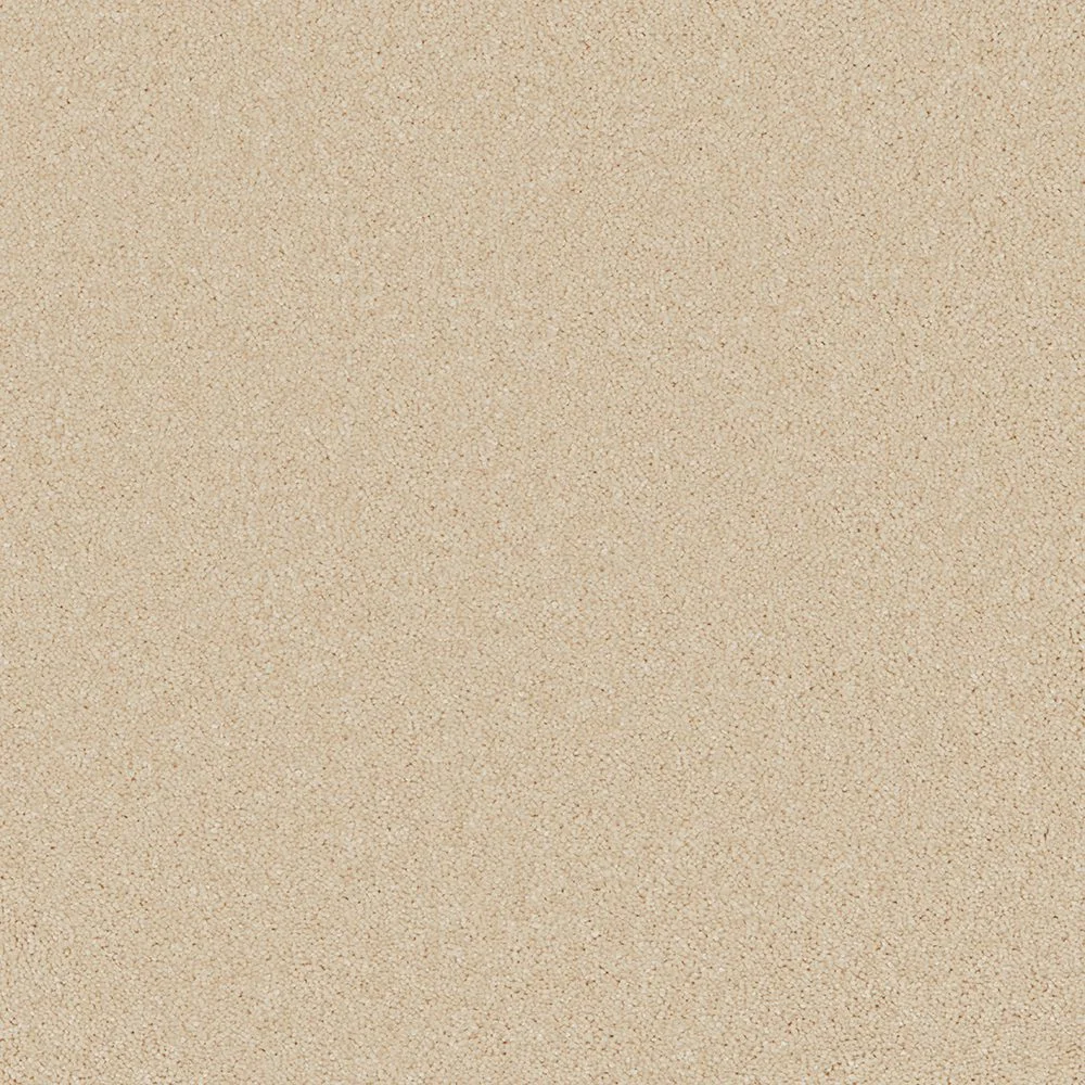 Bliss & Bliss Comfort Carpets by Furlong Flooring