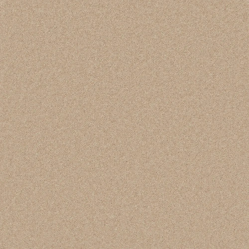 Pembroke Carpet by Cormar Carpets | Quality Flooring