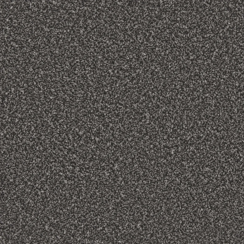 Apollo Plus Carpet by Cormar Carpets | Quality Flooring
