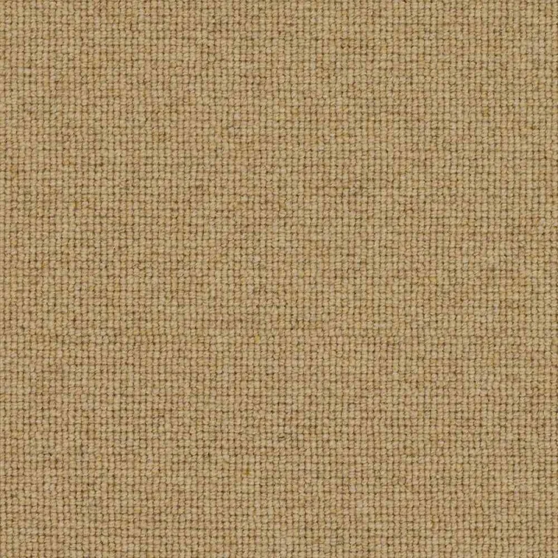 Tudor Co-ordinates Chickpea