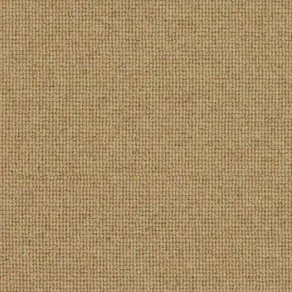 Chickpea