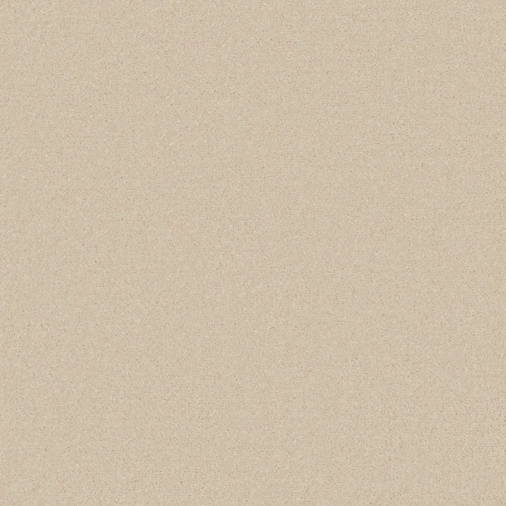 Elegance Carpet by Furlong Flooring | Quality Carpets