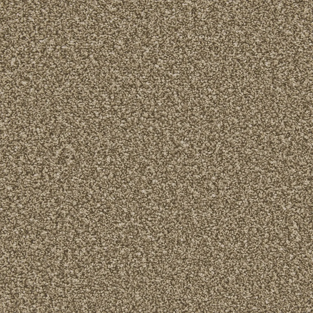 Apollo Plus Carpet by Cormar Carpets | Quality Flooring