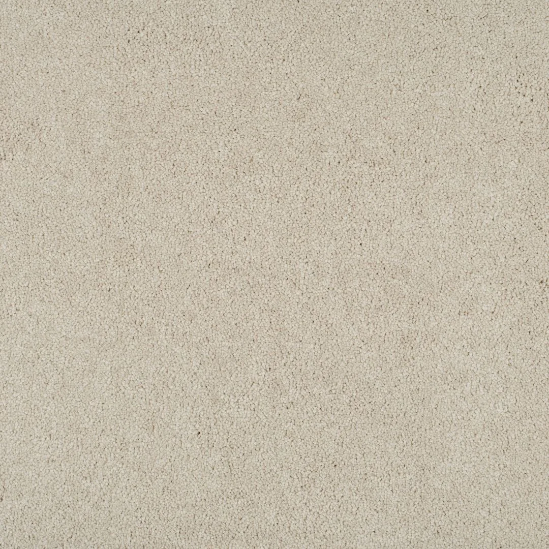 Magical Feeling Carpet by Balta – Quality Flooring