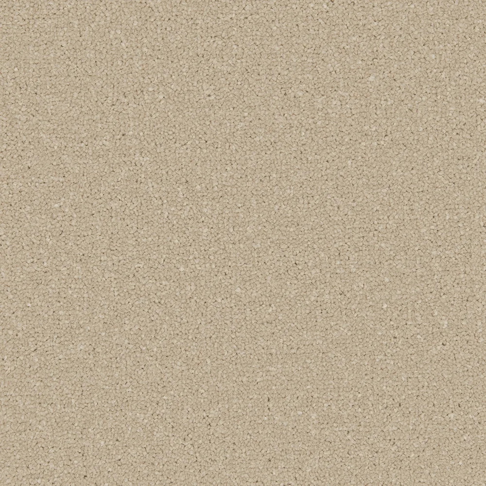 Apollo Plus Carpet by Cormar Carpets | Quality Flooring
