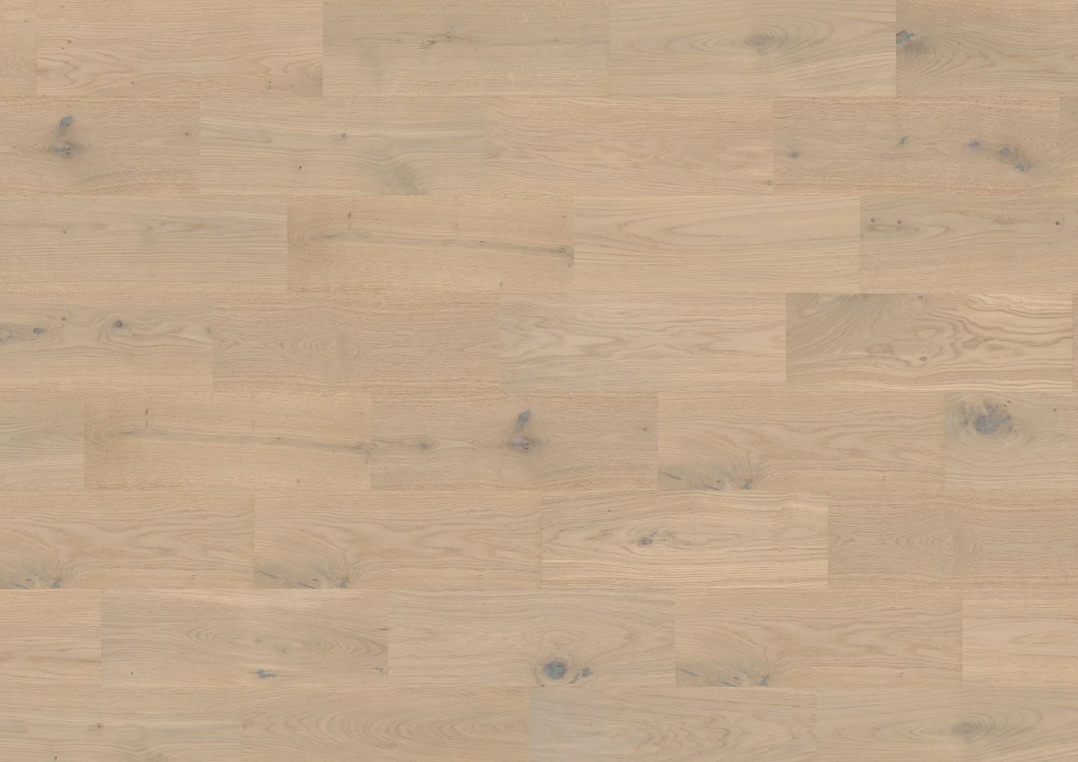 Lignum Strata The Castro Collection Taj Mahal Oak 180
