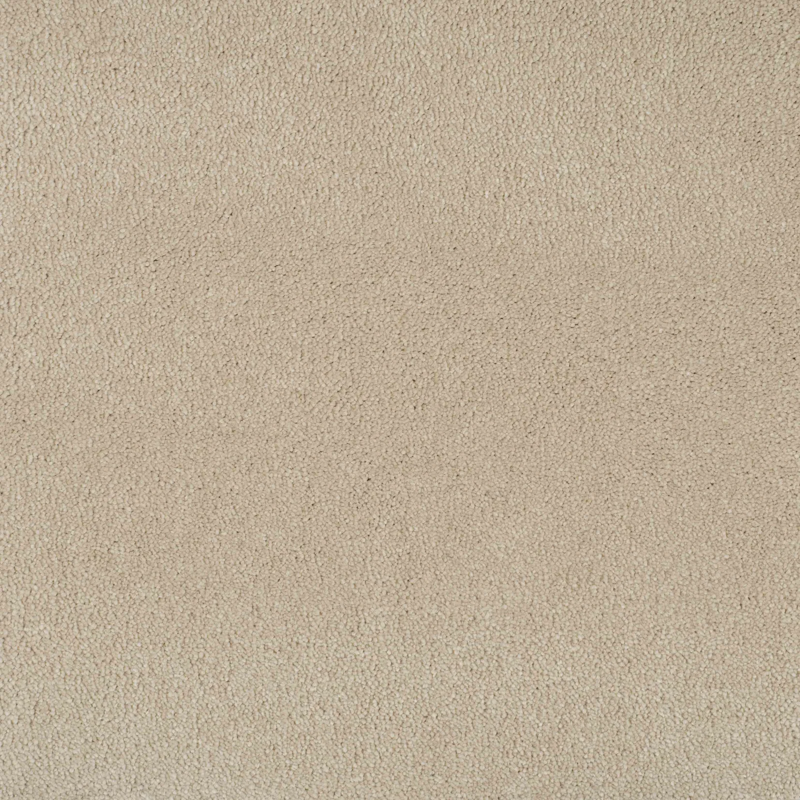 Delight Carpet by Balta - Finishing Touch Collection
