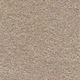Orion Suede