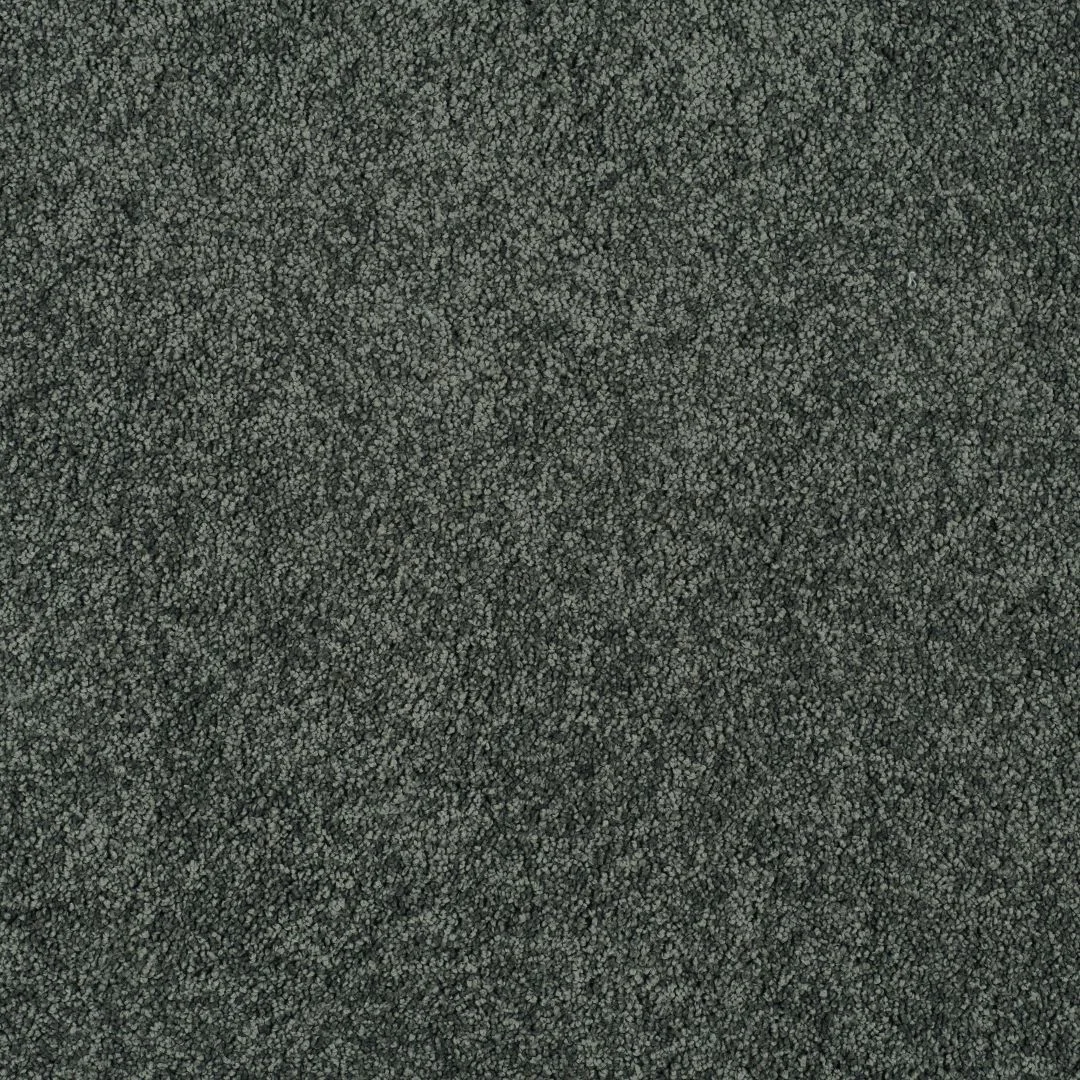 Magical Feeling Carpet by Balta – Quality Flooring