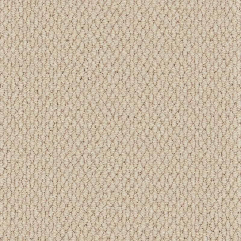 All Carpets Canvas
