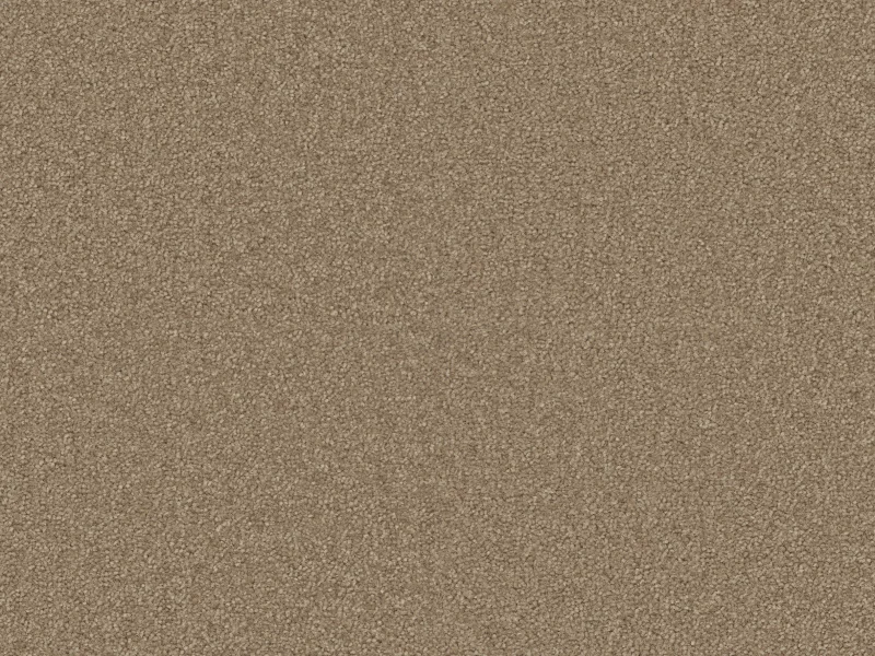 Sienna 220Acorn