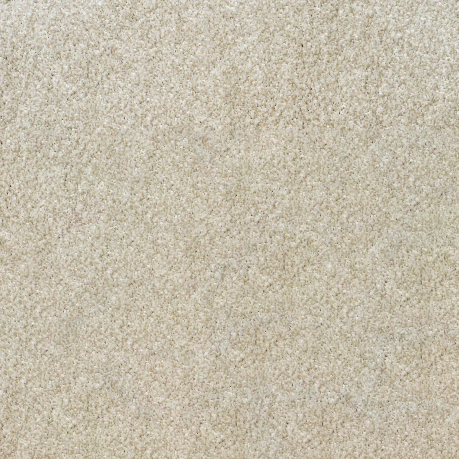 Ultra Saxony Carpet by Balta - Quality Flooring in Wednesfield