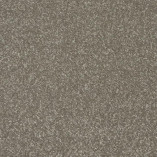 Twist Carpet by Abingdon Flooring - Quality Comfort