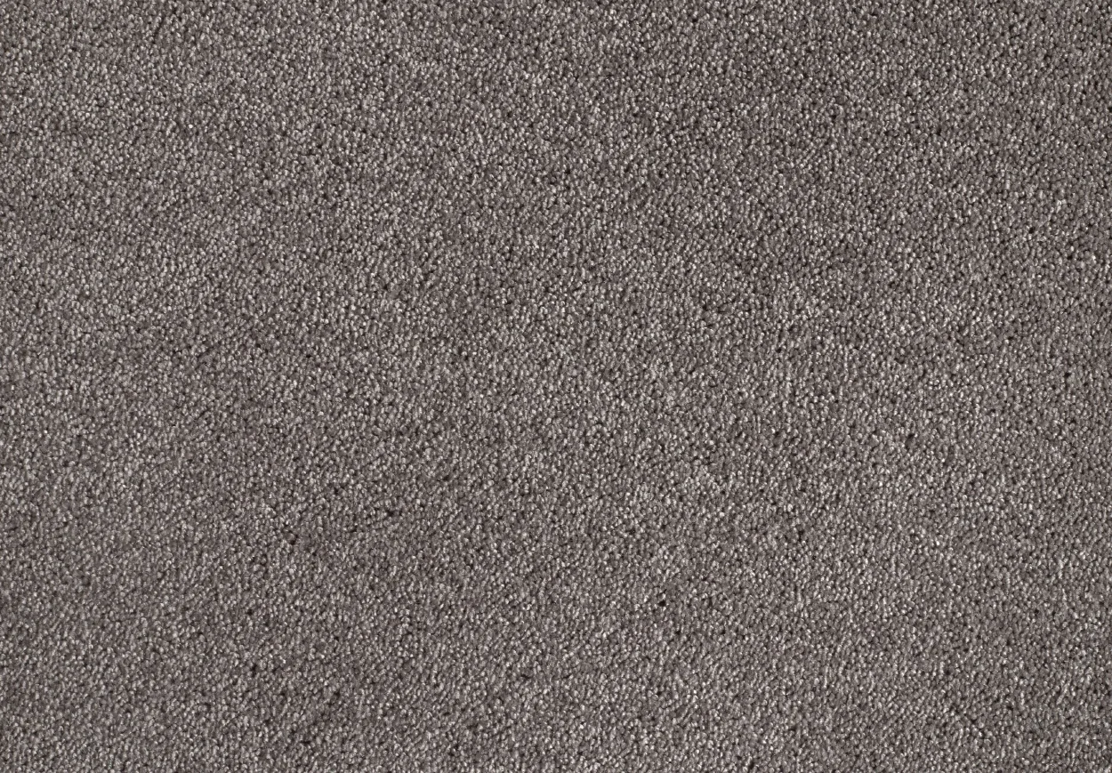 Satine Nova Carpet by Lano | Quality Carpets and Vinyl