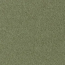 Fine Westex Twist Monkwood Moss