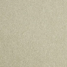 Pure Luxury Velvets Mushroom