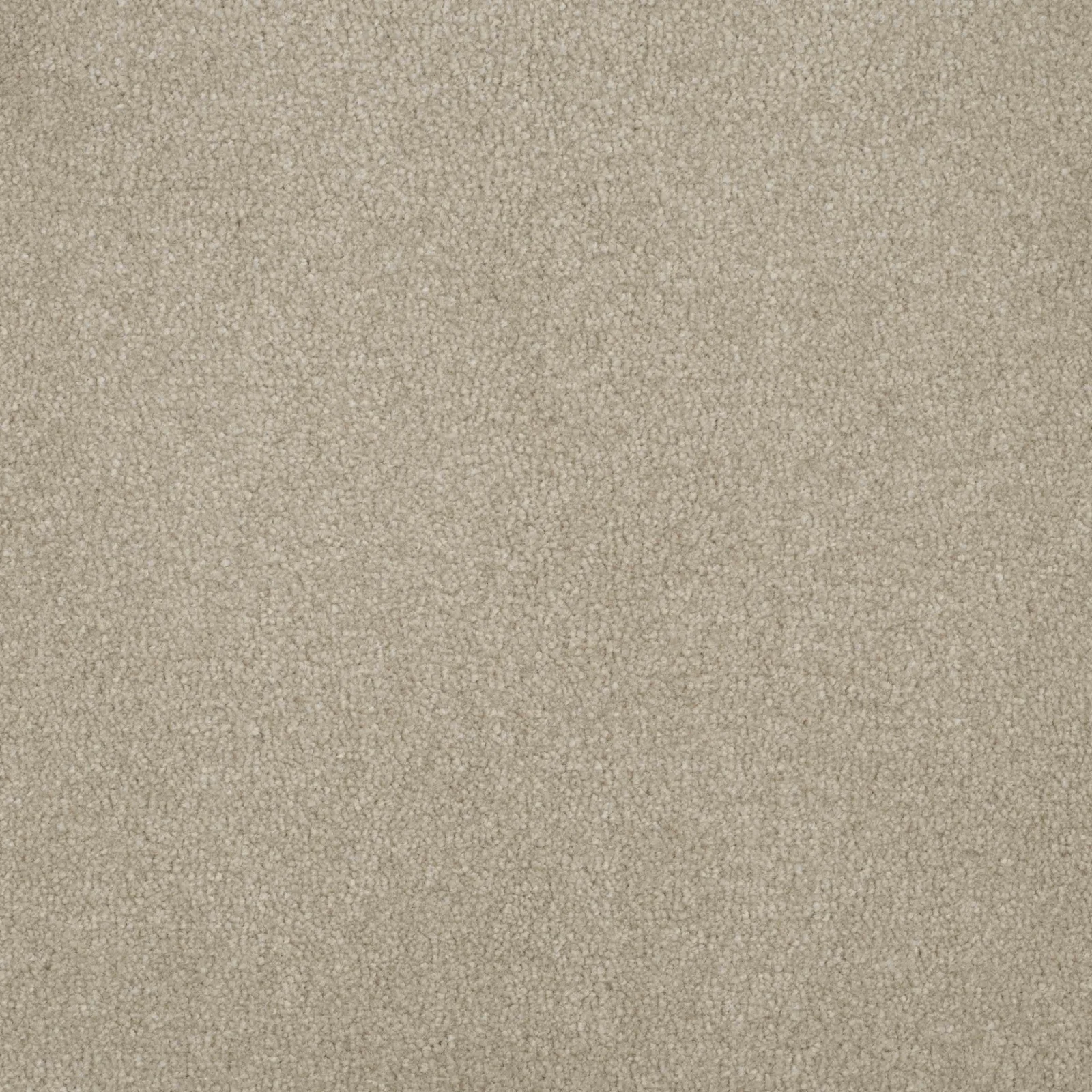 Essence Carpet by Balta | Quality Carpets in Wednesfield