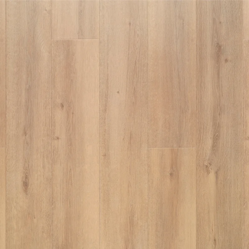 Love AQUA Steam Laminate by Lifestyle Floors | Judge Carpets