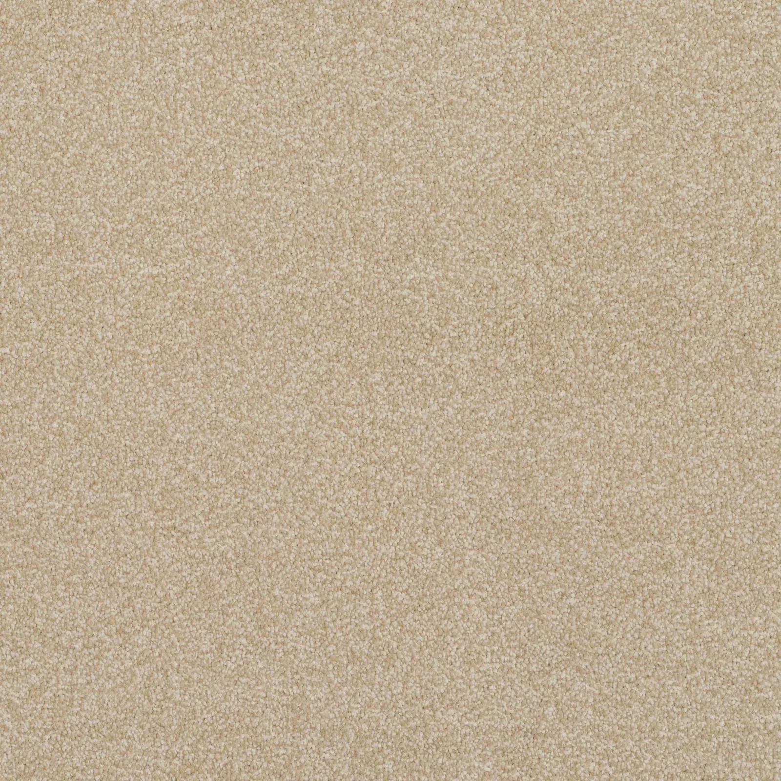 Pinnacle Carpet by Balta | Quality Flooring in Wednesfield