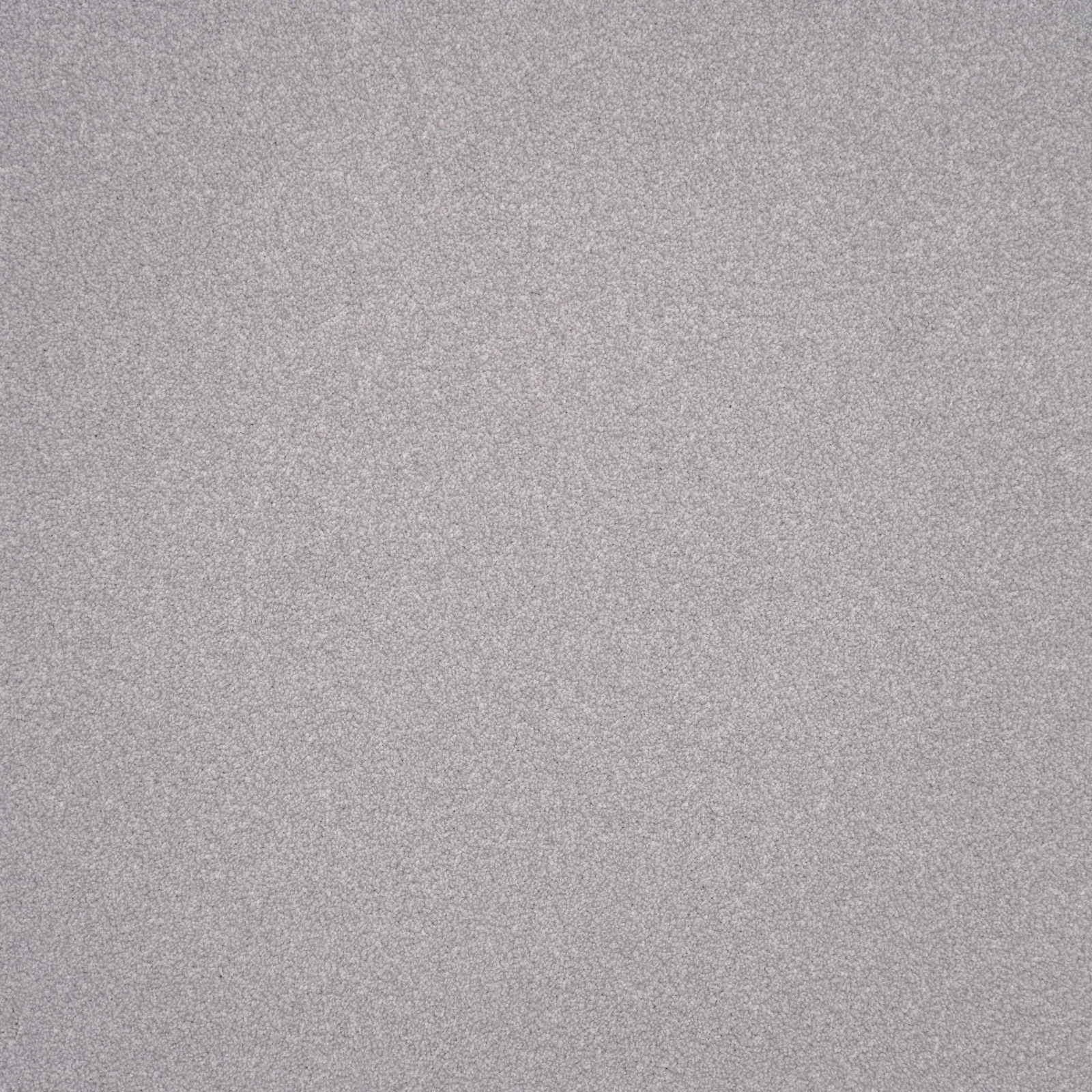 Elegance Carpet by Furlong Flooring | Quality Carpets