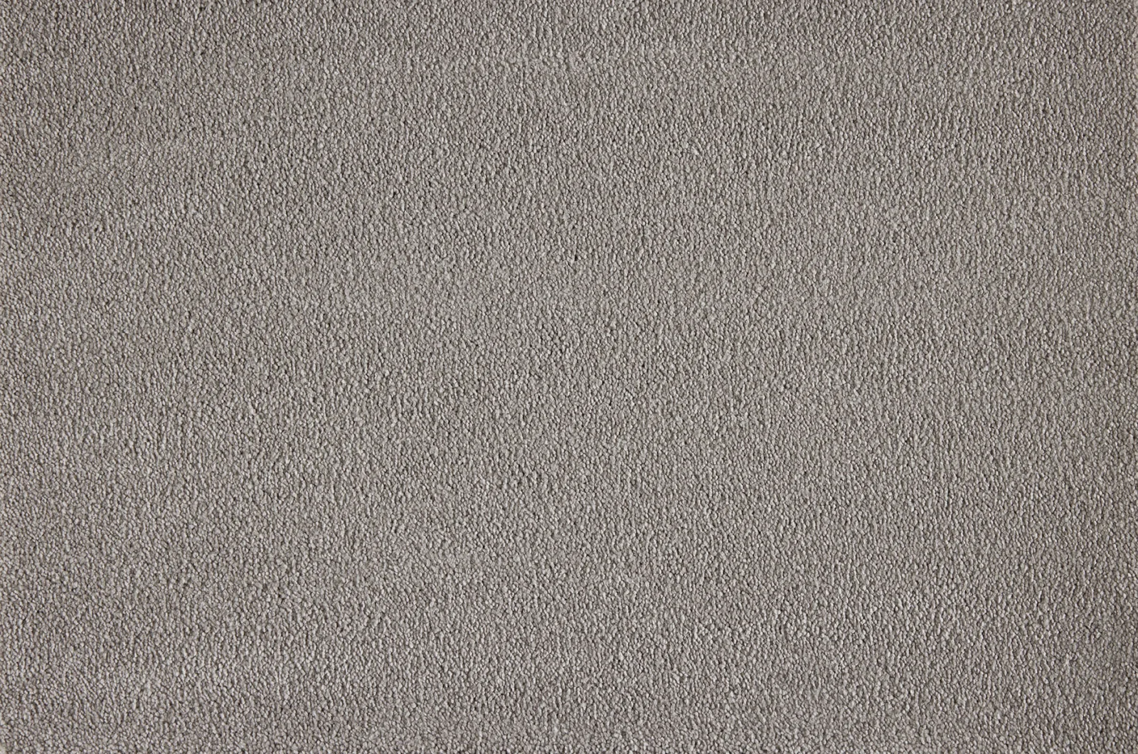 Boulevard Carpet by Lano - Quality & Style