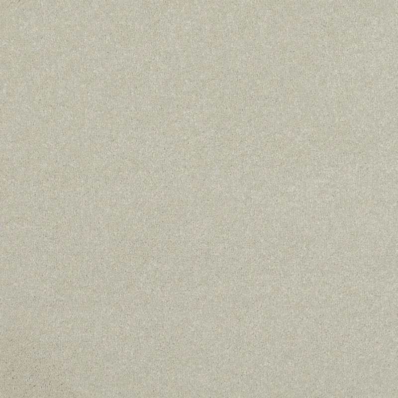 Pinnacle combed cotton
