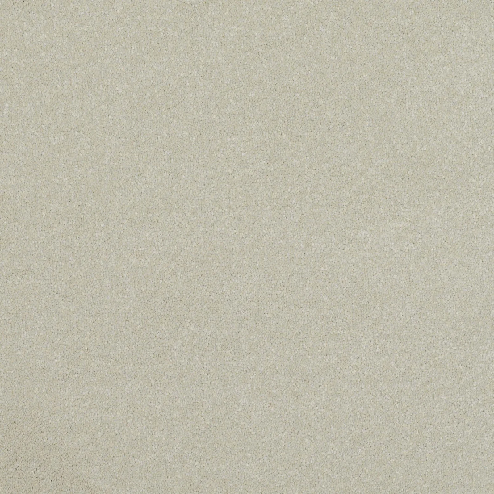 Pinnacle Carpet by Balta | Quality Flooring in Wednesfield