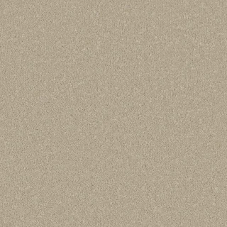 Silken Serenity Stucco