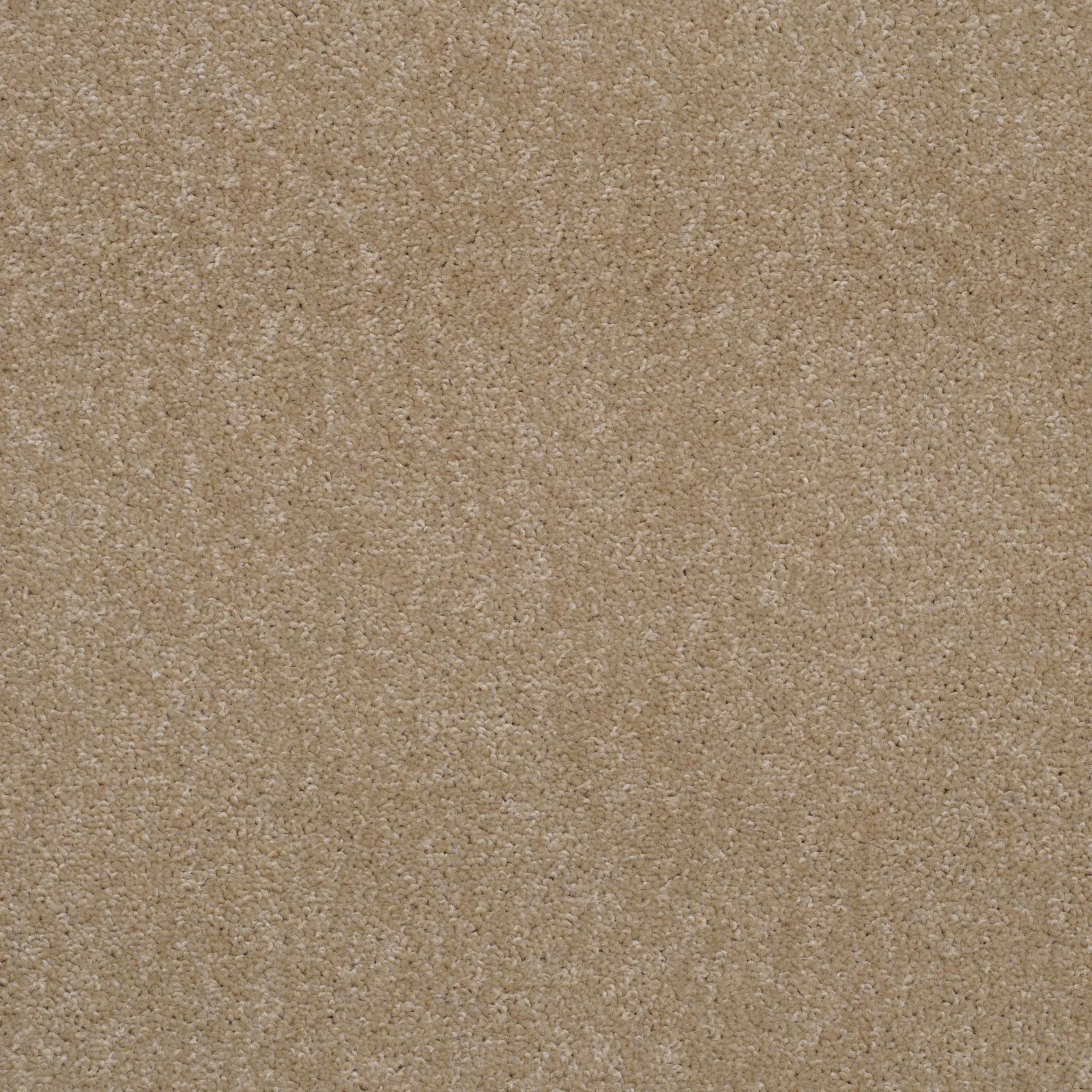 Super Twist Carpet by Balta - Quality Flooring in Wednesfield