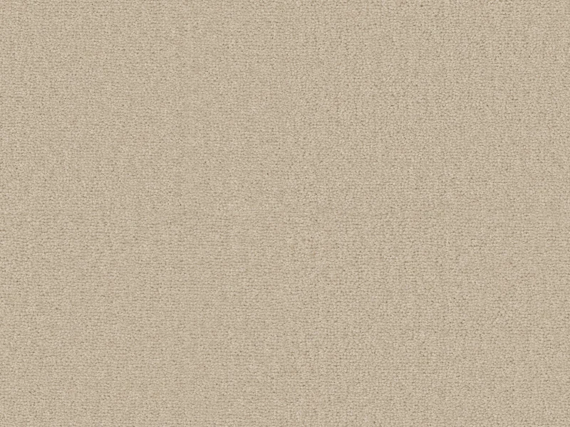Sienna 260Camel