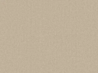 260Camel